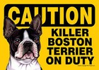 Killer Boston Terrier On Duty Dog Sign Magnet Hook & Loop Fastener 5x7