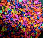 Gravel for Plants Succulents Aquarium Substrate Beautiful Pebble stones