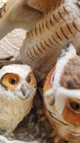Great Horned Owl KATSUMI ITO Danbury Mint frm a 1 Family Home Display Awesome! - Picture 2 of 13