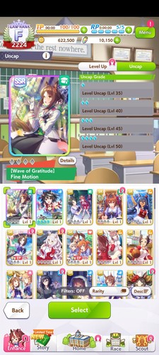 Uma Musume Pretty Derby, Max MLB Kitasan Black x5 + Fine Motion - Bild 1 von 2