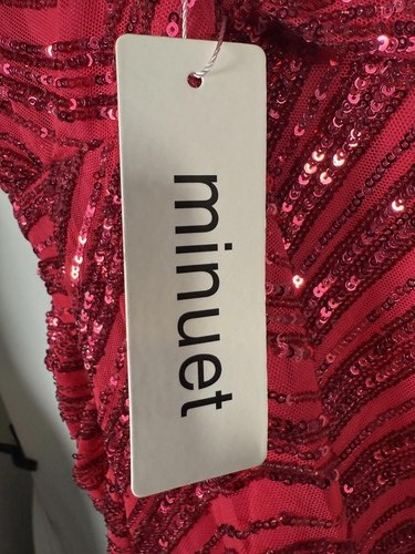 NWT Minuet Apparel Kiara Rhinestone Strap Sequin Gown w/Slit Size Large - Picture 7 of 7