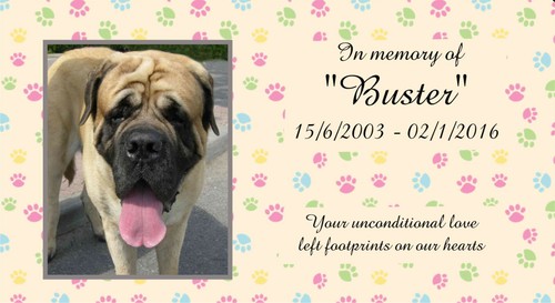 Personalised Metal Pet Photo Memorial Stake Grave Name Plate Outdoor UV Dog Cat - Picture 10 of 21