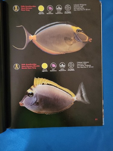 Companion Southeast Asia Marine Aquarium By Pablo Tepoot & Ian M. Tepoot - Picture 6 of 12