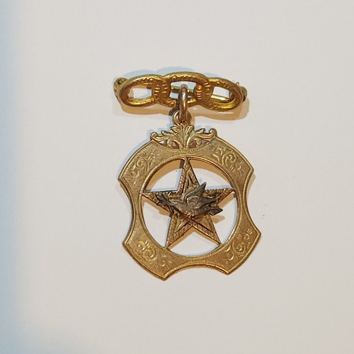 Vintage Odd Fellows 10K Gold Brooch Pin Daughters of Rebekah Freemason Mix Metal - Picture 2 of 14