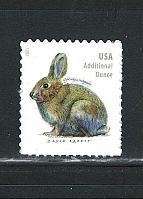 US Mint Brush Rabbit Single Additional Ounce Stamp,Scott#5544 (MNH