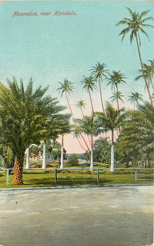 Postal C-1910 Hawaii Moanalua Honolulu Nichols & CO 24-6358