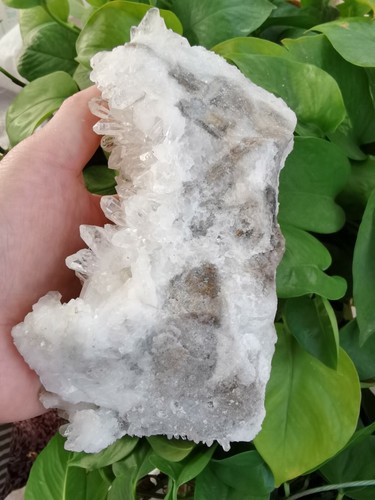 859g schöne natürliche transparente Quarz Kristall Cluster Mineral Probe - Bild 12 von 12