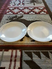 Corelle By Corning Blue Lily Bread & Butter Plates Set Of 2