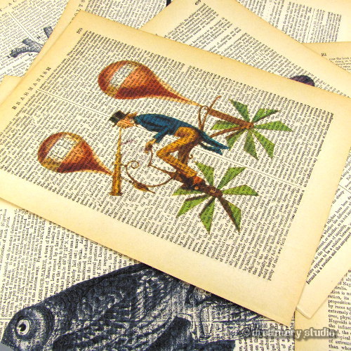 Dot Eared Coquette Hummingbird Art Print on Vintage Book Page Home Decor Gifts - Picture 3 of 3