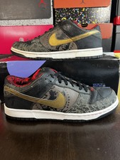 tiger fury dunk sb