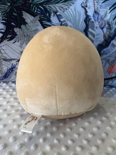 Squishmallow Deja the doughnut 10” Plush Soft Toy  - Picture 5 of 5