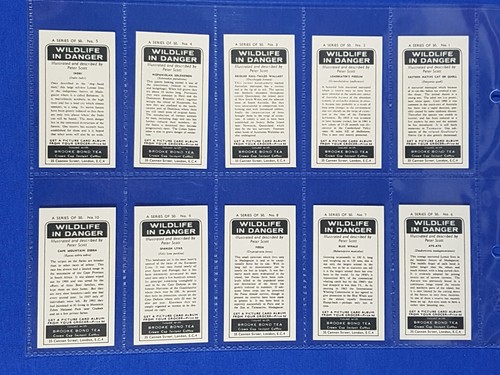 Brooke Bond PG Tips WILDLIFE IN DANGER BLACK BACK REPRINTS - Full Set of 50 - Picture 3 of 10