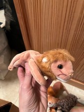 Ty Beanie Baby Roary the Lion DOB February 20,  1996 MWMT Free  Shipping