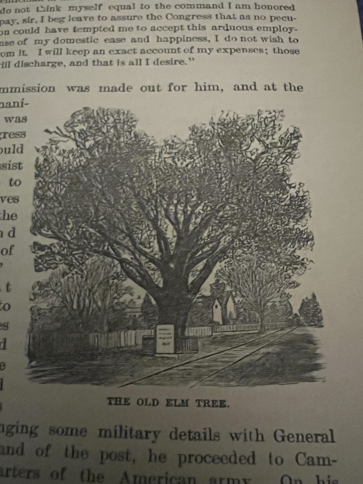 Picture 19 of 24