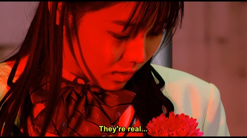 DONBROTHERS IN BLURAY BOX - Bild 2 von 9