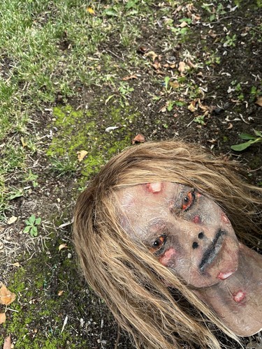 Rotted Detailed Female Corpse Life Size Head Prop Haunted Halloween Corpus Krist - Picture 2 of 7