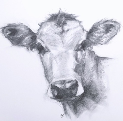 ORIGINAL Jersey Kuh Kohle Zeichnung - Kunst vom Künstler - Bild 3 von 6