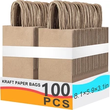 100Pcs Gift Bags with Handles，8.1X5.9X3.1 Inch，Medium Gift Bags，Brown Paper Bags