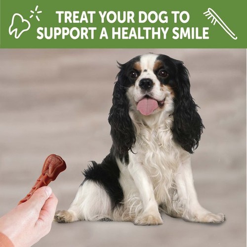 Whimzees Small Natural Dental Value Box Dog Treats, 2.9 lbs., Count of 89 - Picture 7 of 7
