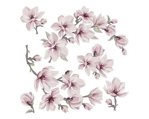 Wandsticker Sakura Kirschblüte 30x30 cm - Bild 1 von 1