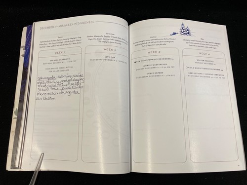 THE APPRENTICESHIP TO THE SACRED WILD WORKBOOK BY MARYSIA MIERNOWSKA 2020-2021 - Picture 7 of 12