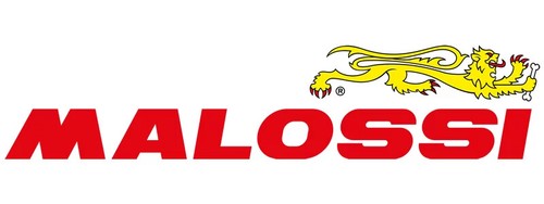 Malossi 1414213 Filtro de Aire W Box Racing Lavable Yamaha T Max 530Ie 4T LC - Imagen 3 de 3