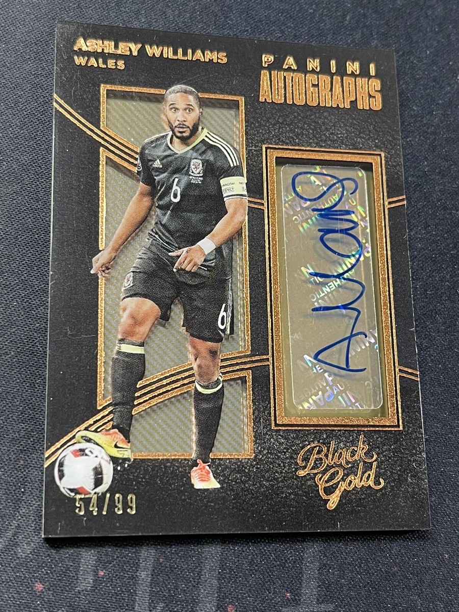 Panini Soccer Black Gold ウーデゴール 直筆サインカード 2016-17 Panini BLACK GOLD SOCCER Gilded Signatures Martin