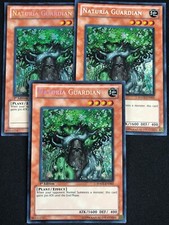 YUGIOH NATURIA GUARDIAN HA02-EN003 1ST SECRET X3 LP