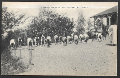 pk11317:Postcard-Vintage Exercises at Swiss Childrens Camp,Mt Kisco,New York
