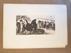 Picture 1 of 7