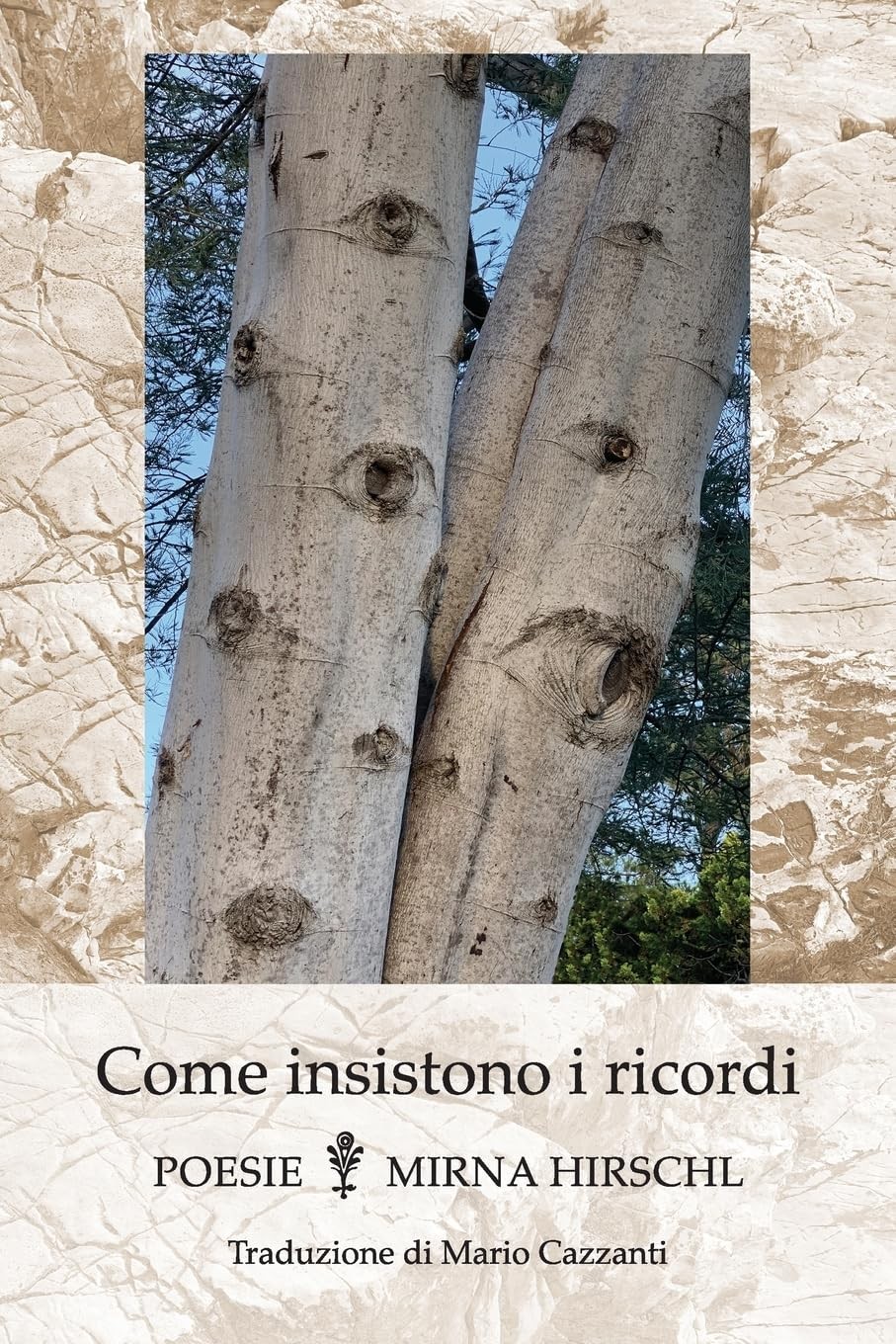 Foto 1 di 1