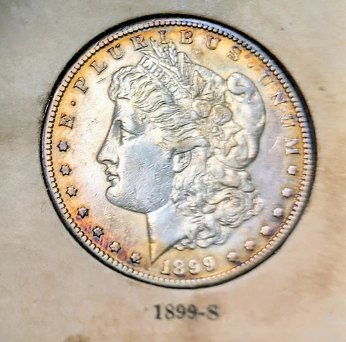 1899-S Morgan Dollar ✨ Golden Album Toning • San Francisco Beauty