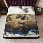Yellowstone Bison Wildlife Photography, Sherpa Blanket, Warmth for Winter Nights