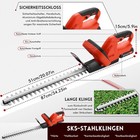 Bild 5 von 10