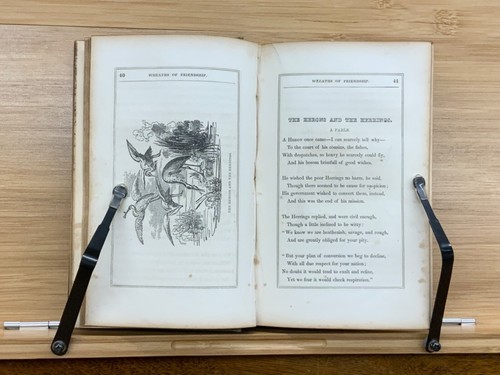 1849 Wreaths of Friendship: Children's Gift Book - T.S. Arthur & F.C. Woodworth - Picture 12 of 24