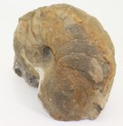 Foto 2 di 7