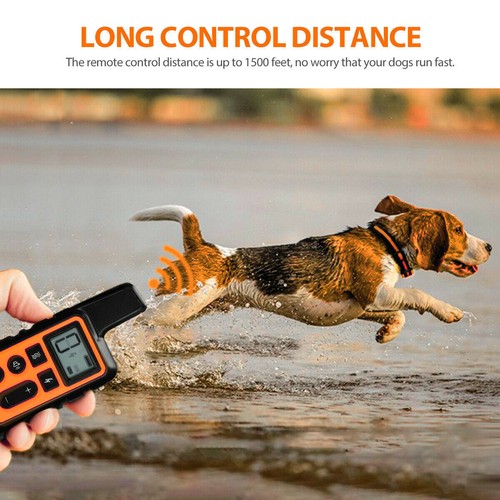 2700 FT Remote Dog Shock Training Collar Rechargeable Waterproof LCD Pet Trainer - Picture 19 of 30