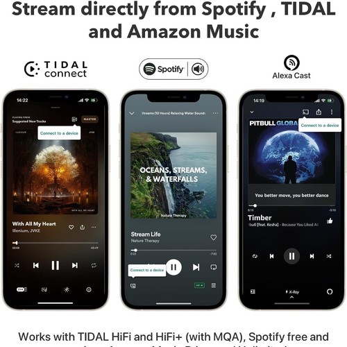 WiiM Pro Plus Wireless Audio Streamer AirPlay 2 & Chromecast - Picture 5 of 6
