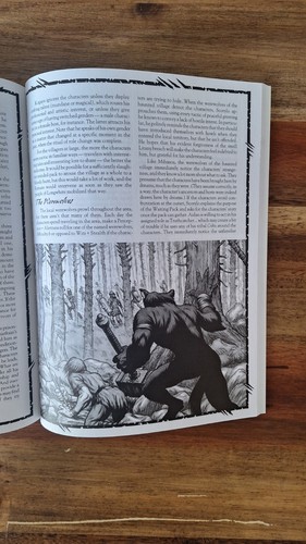 Werewolf The Apocalypse - White Wolf WoD World of Darkness - Brand New - Picture 34 of 56