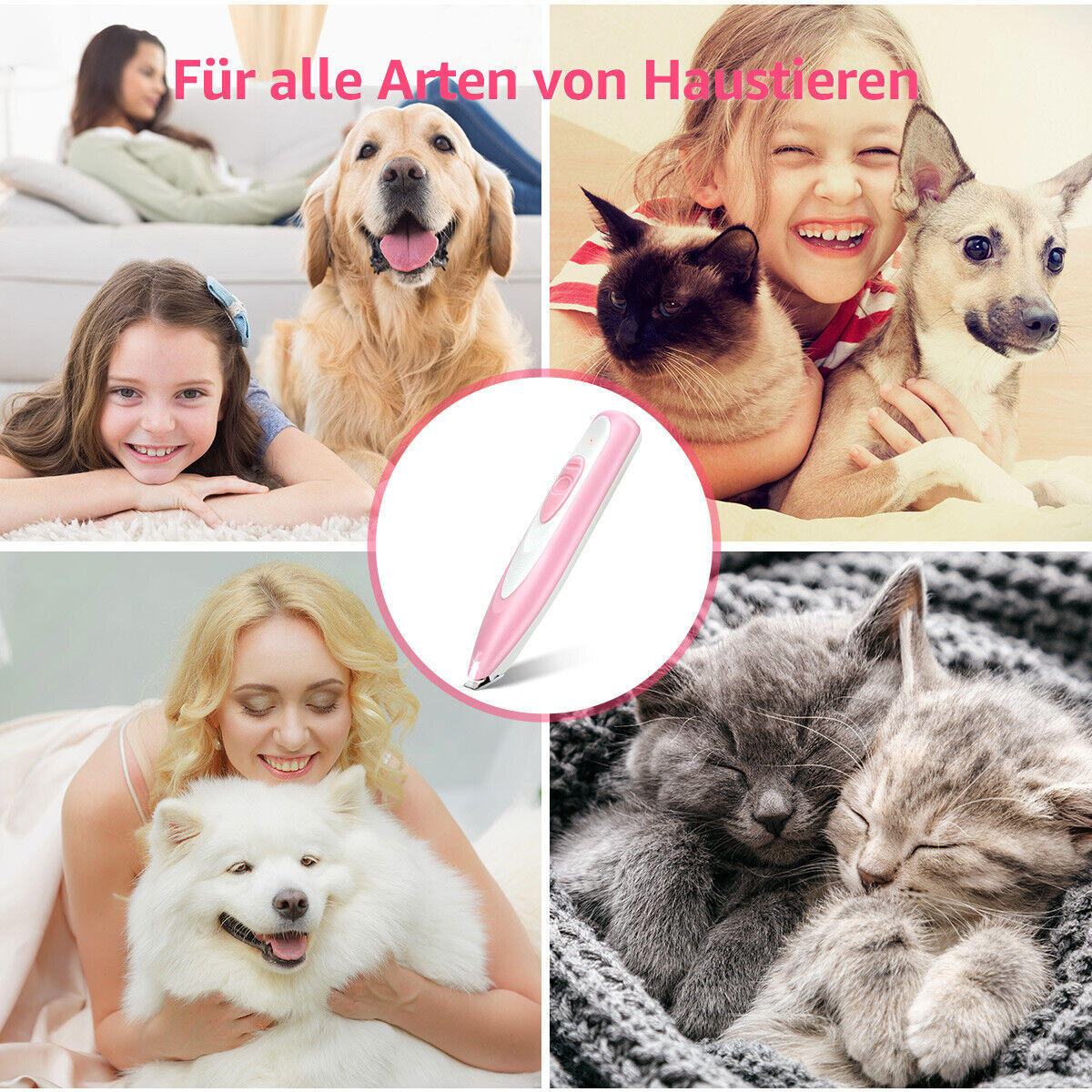 Bild 11 von 11