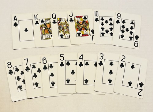 PFLANZ MANTEY MENDRALA FUNERAL HOMES Large Print Playing Cards READ DESCRIPTION - Picture 3 of 12