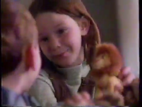 Sin usar en paquete 8 McDonald's 1998 Rey León 2 Disney FELPA ANIMAL DE PELUCHE SIMBA ORGULLO - Vídeo 1 de 1