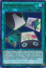 Flower Gathering - DRL3-EN040 - Ultra Rare - 1st Edition - Lightly Played