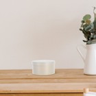 Candy Box Bride Cookie Boxes with Window Butterfly Bridal Shower