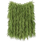 Beistle - 50456 - Tropical Fern Leaf Hula Skirt - Pack of 6
