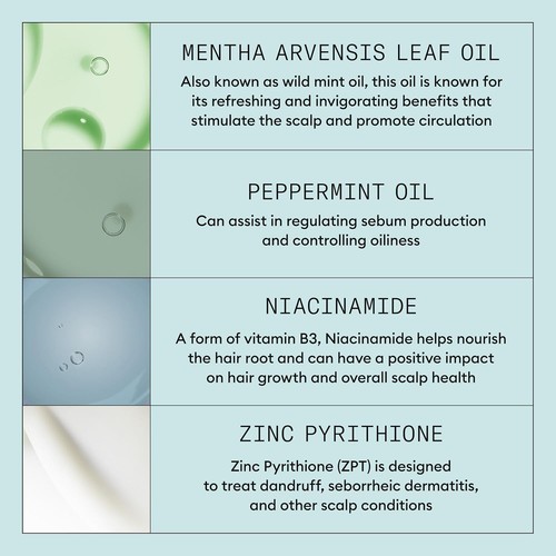Trial Size Scalp Recovery Kit with Pyrithione Zinc - For Flaky & Itchy Scalp - Picture 9 of 12
