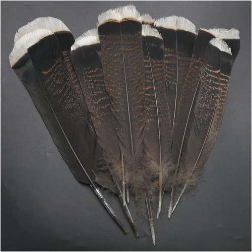 Plumas de pavo ZZHXSM 10 piezas naturales 10-12 pulgadas x10