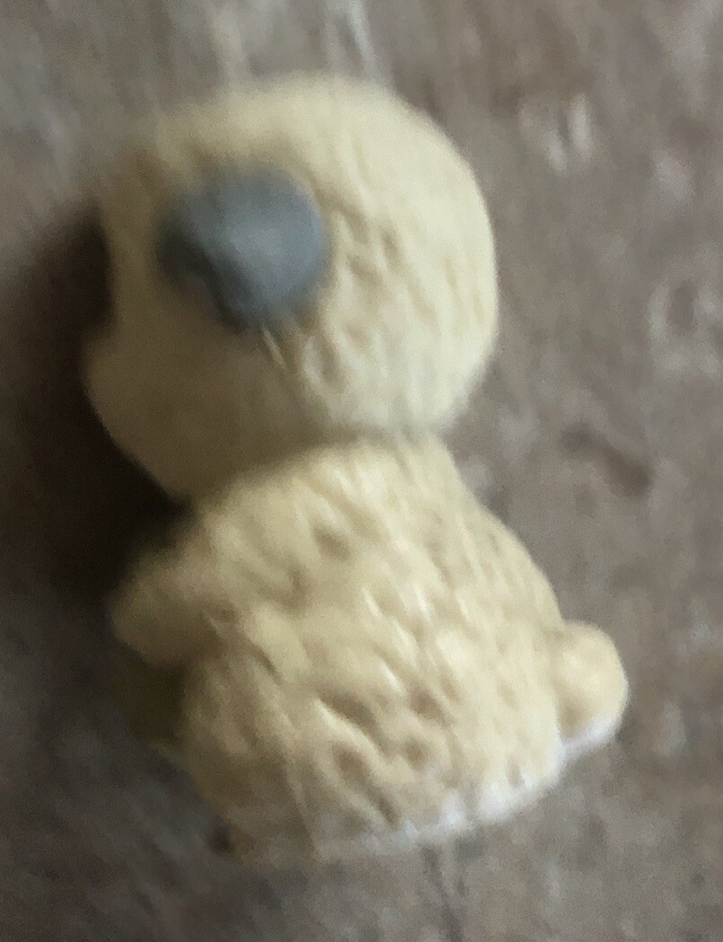Picture 7 of 7