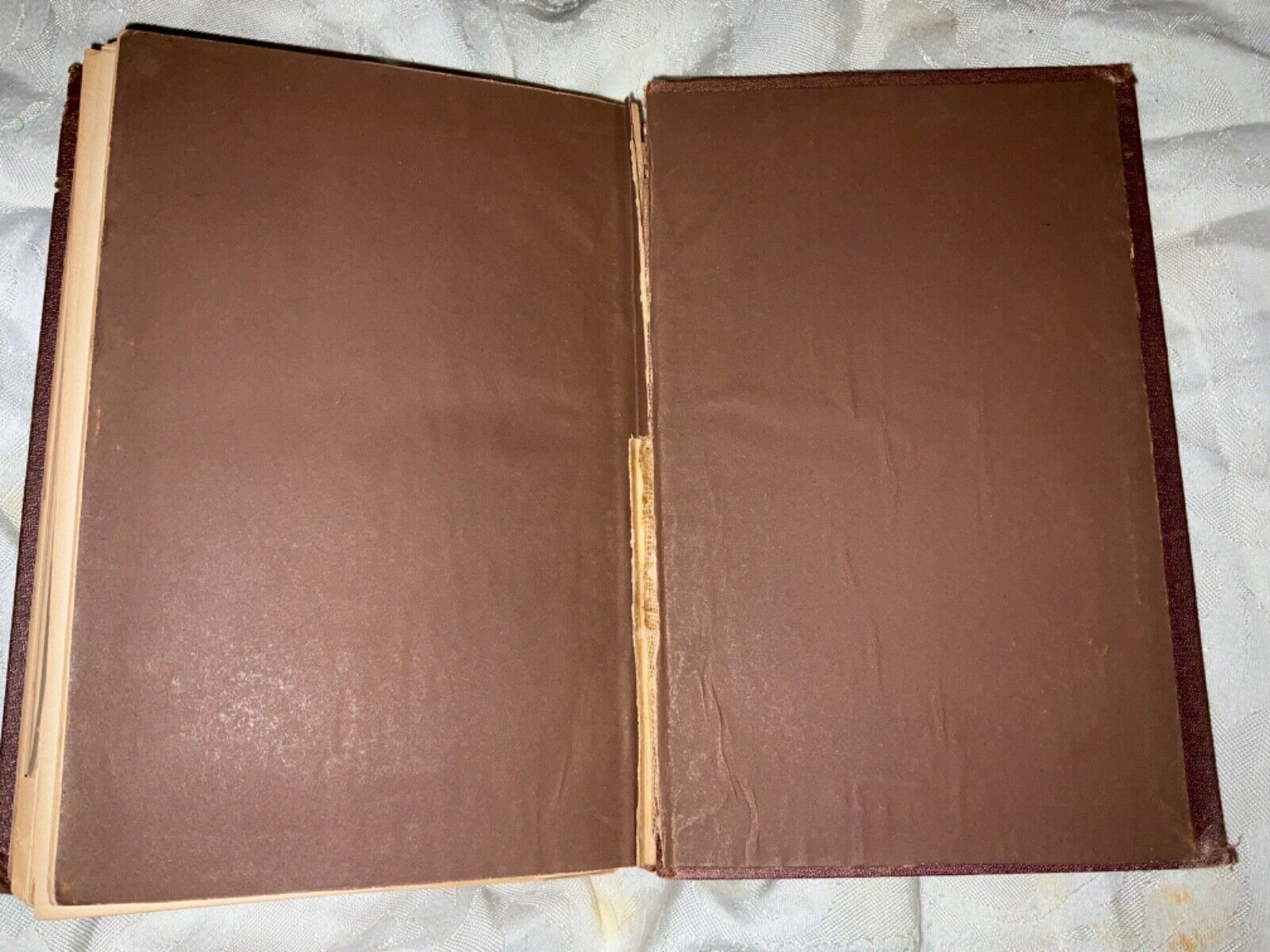 Picture 9 of 9