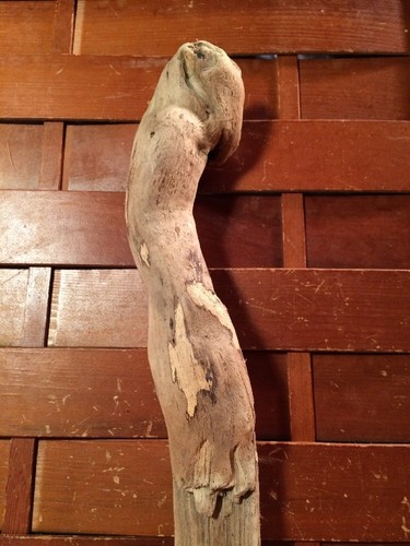 Beautiful 14" DRIFTWOOD Piece Art Terrarium Taxidermy Aquarium Beach Wood DECOR - Picture 7 of 11